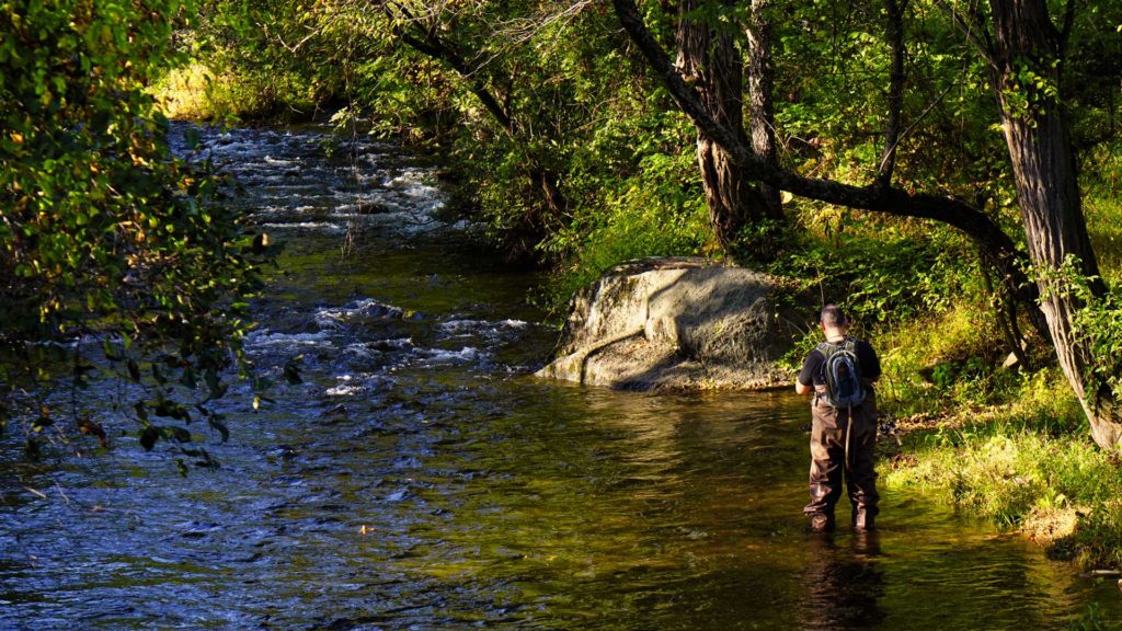 Fisihing Rappahannock Co